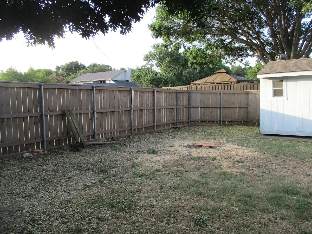 Cleared yard after professional tree removal in Universal City